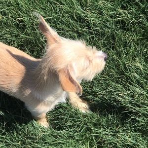 Meet your Posher, Aracely